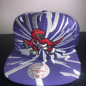 NBA raptors hat